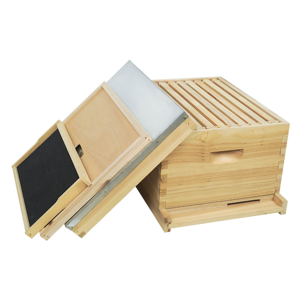 langstroth hive one layer