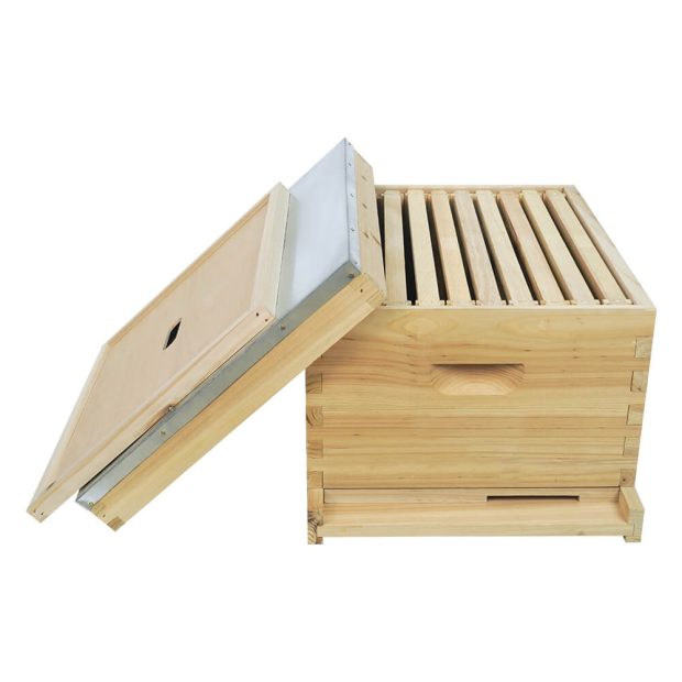 langstroth hive one layer