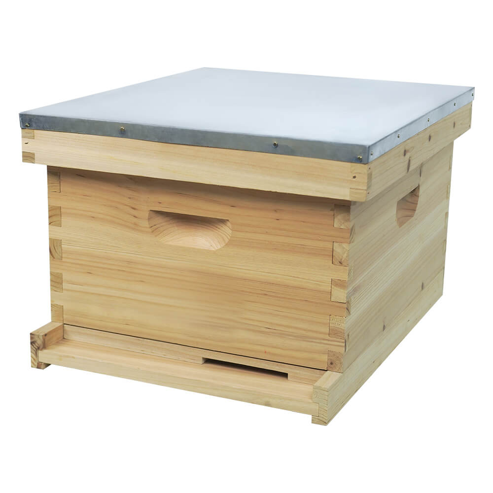 langstroth hive one layer