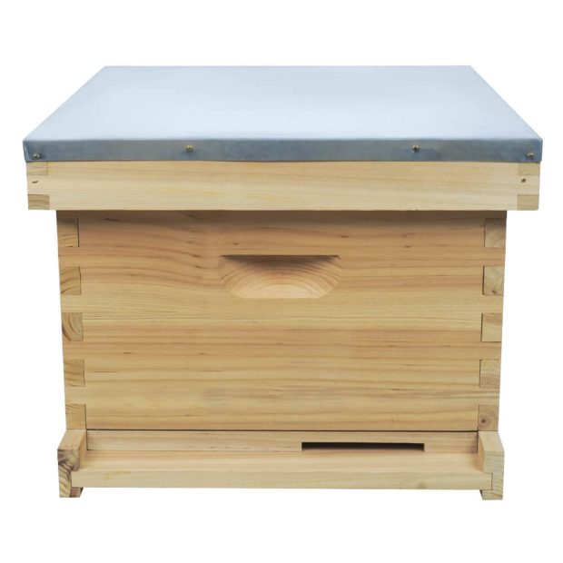 langstroth beehive