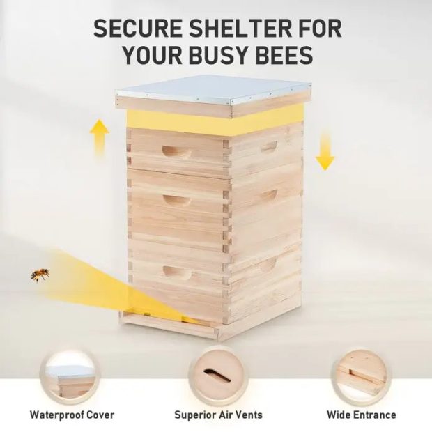 3 Layer Bee House with Frames