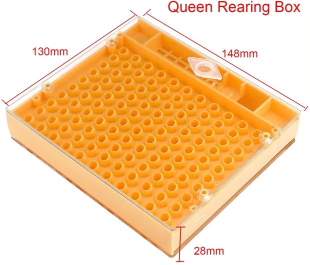 nicot queen rearing kit