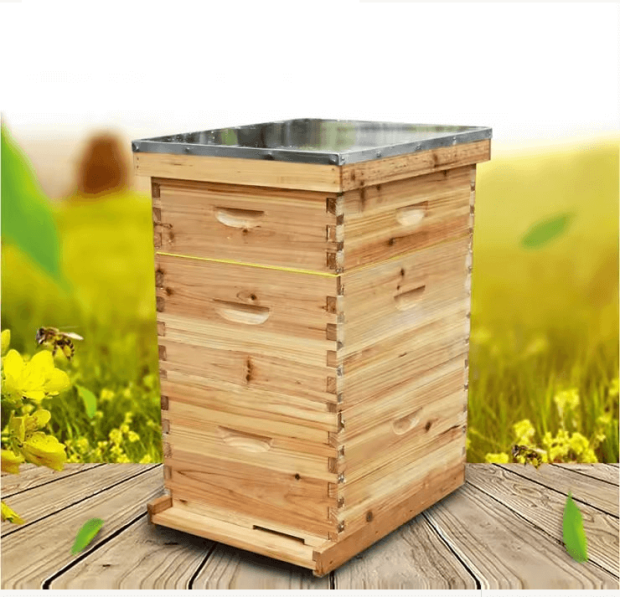 langstroth beehive