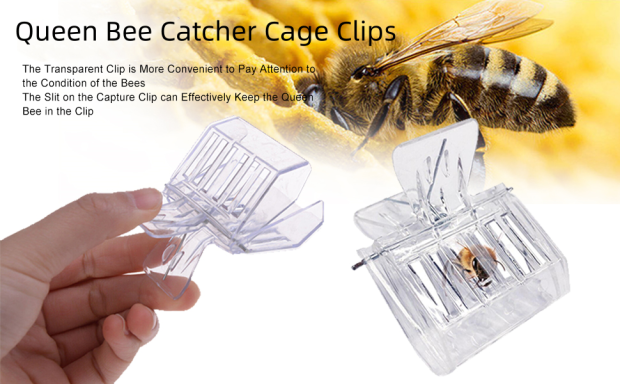 bee catch cage clips