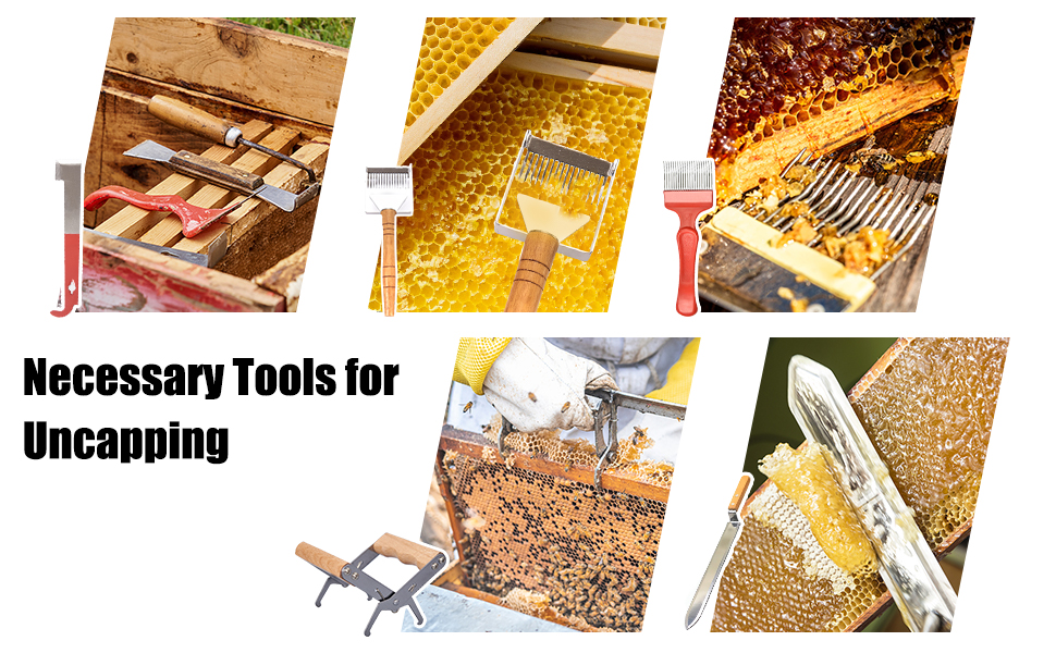 beginner beekeeping kit