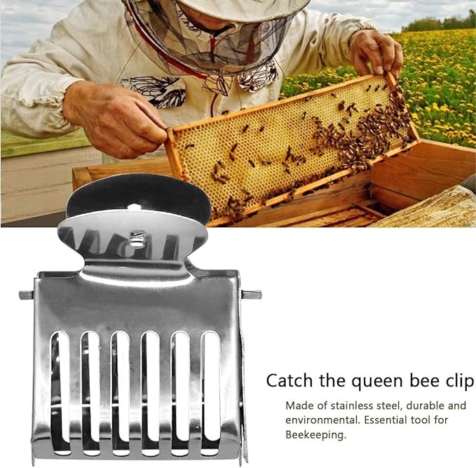 catch queen bee clip