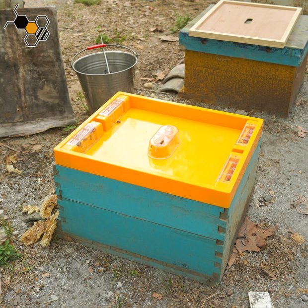 bee hive top feeder