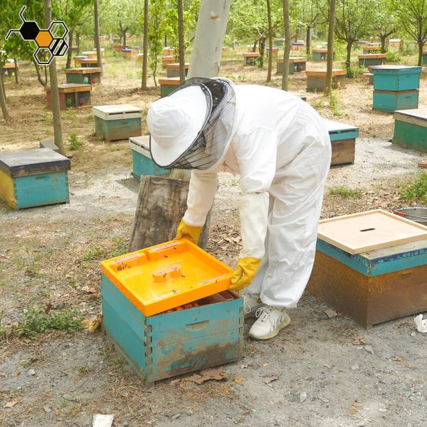 top feeder for bee hive