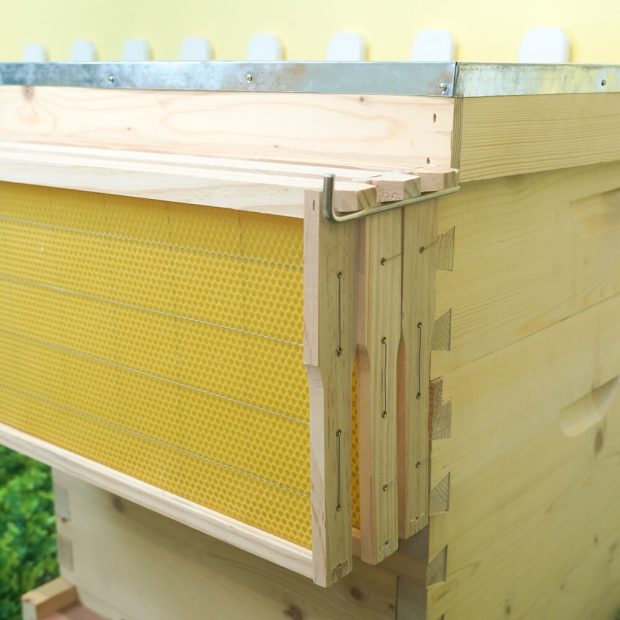 bee frame hanger