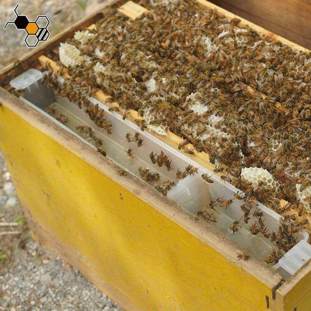 n hive bee feeder