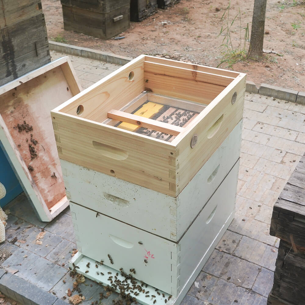 Moisture-proof bee box