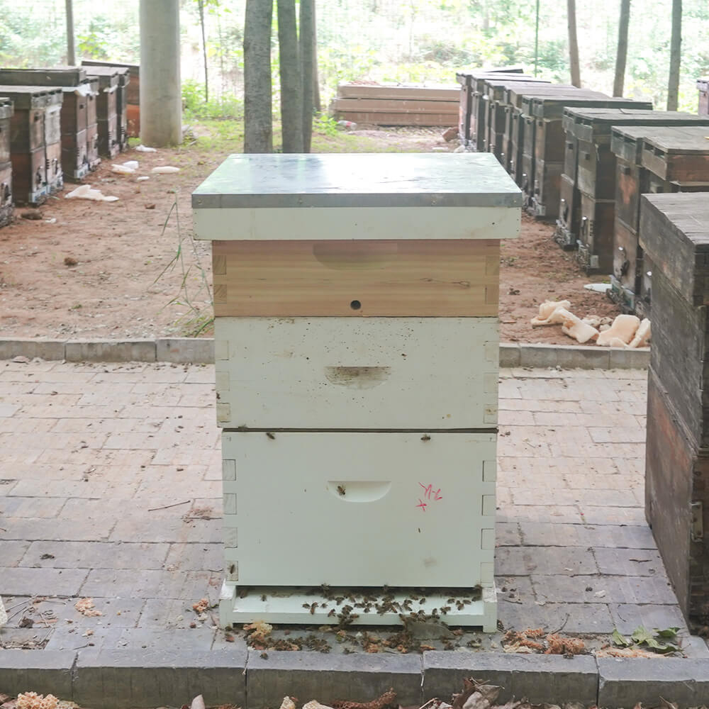 bee hive moisture box