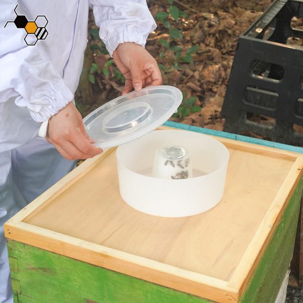 top feeder for bee hive