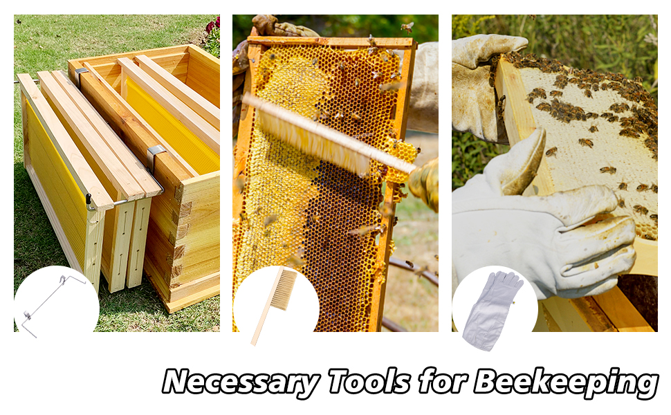 honey bee hive starter kit