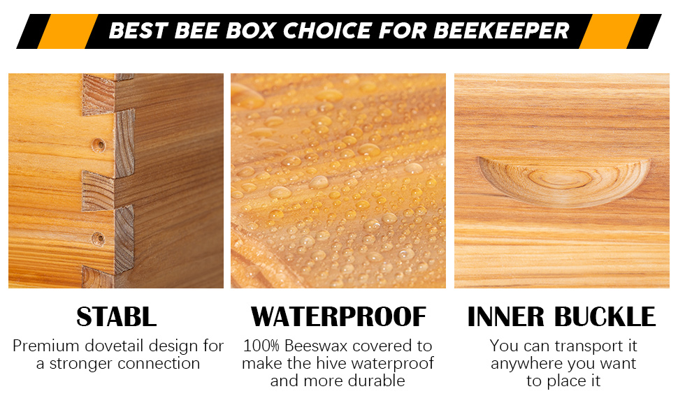 best bee hive starter kit