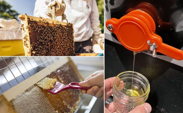 Double Sieve Honey Harvesting Starter Kit