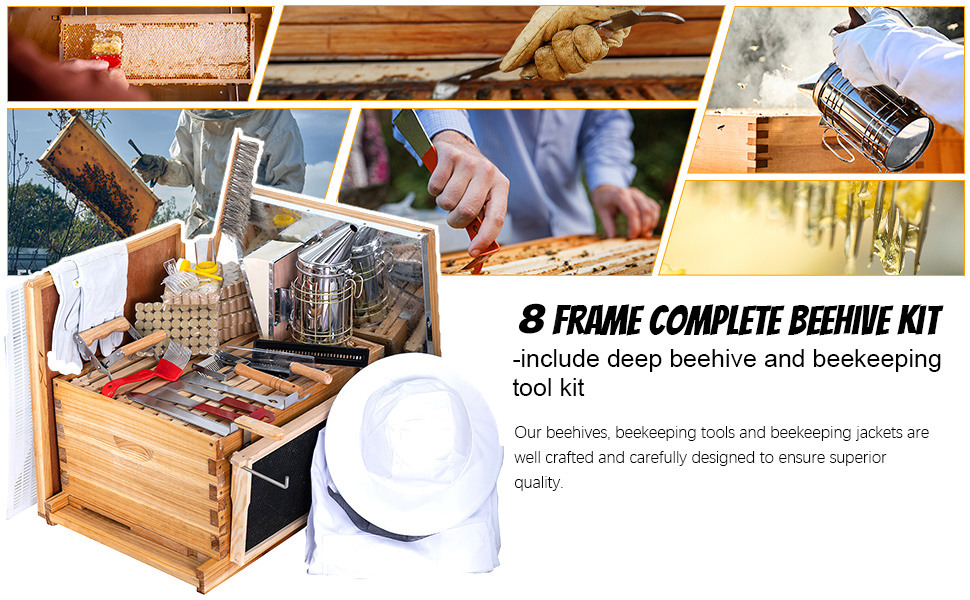 best beekeeping starter kit