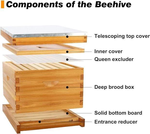 honey bee hive starter kit