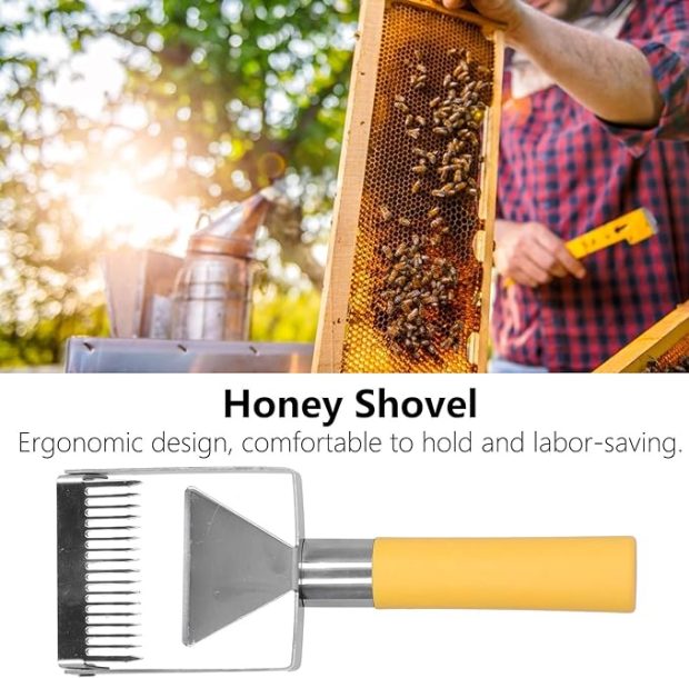 Stainless Steel Honey Scraper