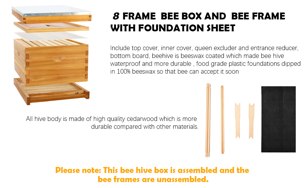 bee box starter kit