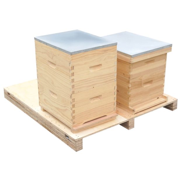 Beehive Pallet