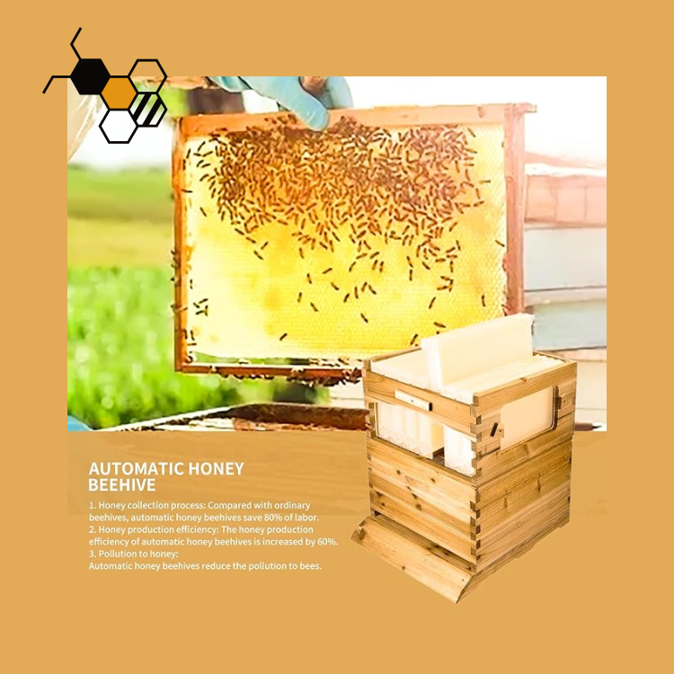 flow bee hive