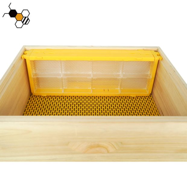 comb honey frames for sale