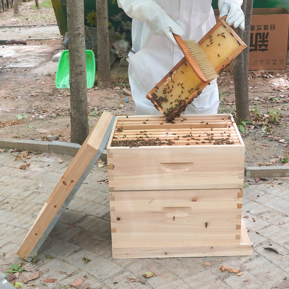 langstroth hive for sale